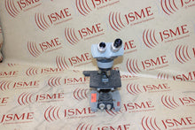 Load image into Gallery viewer, American Optical AO Spencer Model 1031 Dual-Head Illuminator Microscope