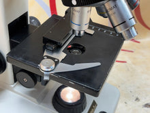 Load image into Gallery viewer, Seiler Microlux ll Microscope