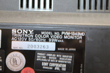 Load image into Gallery viewer, Sony trinitron PVM-1343MD