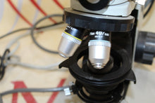Load image into Gallery viewer, nikon Microscope
