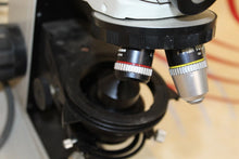 Load image into Gallery viewer, nikon Microscope