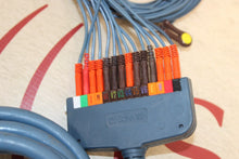 Cargar imagen en el visor de la galería, ConMed 11651-002 Quinton Stress Test EKG Cable w/ECG 20 Lead Wires

