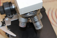 Load image into Gallery viewer, Unico G300 Binocular Microscope
